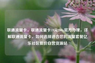联通流量卡，联通流量卡19元200g官方办理，详解联通流量卡，如何选择适合您的流量套餐亿乐社区低价自营货源站