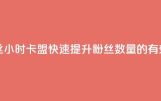 24小时卡盟粉丝 - 24小时卡盟：快速提升粉丝数量的有效策略。