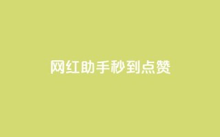 网红助手秒到点赞,抖音业务卡盟网站最低价 - 抖音业务下单秒到账 - 闲鱼业务自助网站