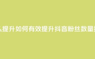 抖音有效粉丝怎么提升 - 如何有效提升抖音粉丝数量技巧大揭秘~