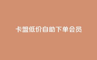 卡盟低价自助下单会员,ks点赞全网最低 - dy科技助手 - 网红自助下单商城