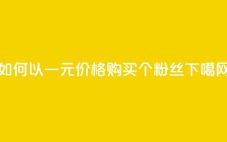 如何以一元价格购买3000个粉丝