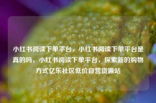 小红书阅读下单平台，小红书阅读下单平台是真的吗，小红书阅读下单平台，探索新的购物方式亿乐社区低价自营货源站