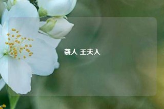 袭人 王夫人