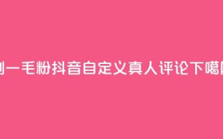 ks刷一毛1000粉 - 抖音自定义真人评论