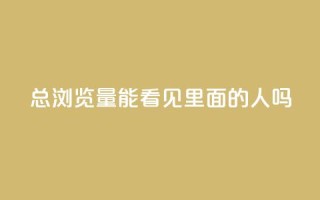 qq总浏览量能看见里面的人吗,在线自助下单互助互赞 - 拼多多转盘最后0.01解决办法 - 海外版拼多多开店流程及费用多少