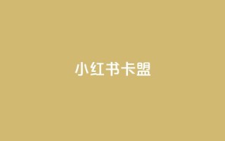 小红书卡盟 - 小红书卡盟：深入解析这一社交电商平台的隐藏商机~