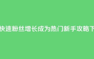 如何快速粉丝增长？成为热门新手攻略