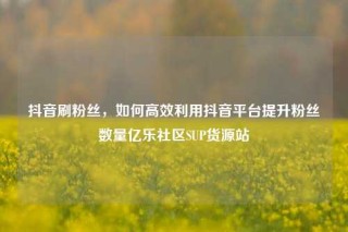 抖音刷粉丝，如何高效利用抖音平台提升粉丝数量亿乐社区SUP货源站