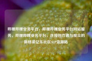 哔哩哔哩业务平台，哔哩哔哩业务平台网站服务，哔哩哔哩业务平台，连接创作者与观众的新桥梁亿乐社区SUP货源站