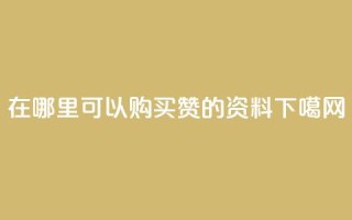 在哪里可以购买QQ赞的资料？