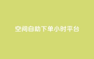 qq空间自助下单24小时平台,网红24小时下单助手 - 王者科技自助平台 - 快手涨热度app