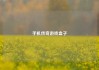 手机传奇游戏盒子