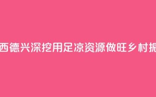 （乡村行·看振兴）江西德兴：深挖用足“凉资源”  做旺乡村振兴“热产业”