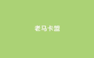 老马卡盟,低价业务平台 - 拼多多自助业务网 - 拼多多助力活动攻略