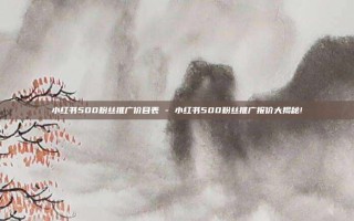 小红书500粉丝推广价目表 - 小红书500粉丝推广报价大揭秘!