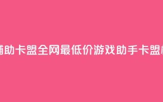 全网最低价游戏辅助卡盟 - 全网最低价游戏助手卡盟，极具性价比！~