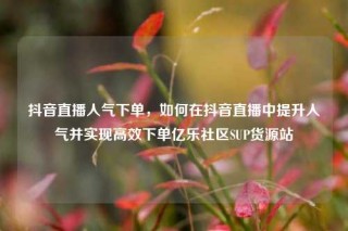 抖音直播人气下单，如何在抖音直播中提升人气并实现高效下单亿乐社区SUP货源站
