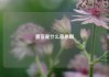 直客是什么意思啊