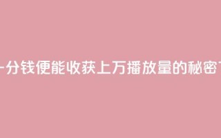 快手一分钱便能收获上万播放量的秘密