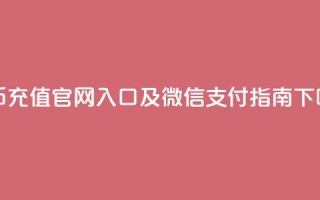 抖币充值官网入口及微信支付指南