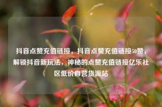 抖音点赞充值链接，抖音点赞充值链接50赞，解锁抖音新玩法，神秘的点赞充值链接亿乐社区低价自营货源站