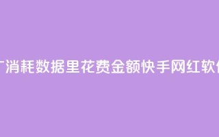 快手推广消耗数据里花费金额 - 快手网红软件