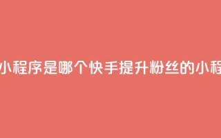 快手涨粉丝的小程序是哪个 - 快手提升粉丝的小程序推荐~