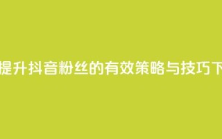 揭秘提升抖音粉丝的有效策略与技巧