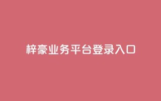梓豪业务平台登录入口,低价自助平台超低价 - 抖音播放量 - 播放量24小时在线下单