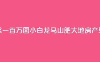 快手粉丝一百万0.01园小白龙马山肥大地房产装修网站,黑科网怎么下载软件安装 - 在线下单自助 - QQ空间浏览次数代刷