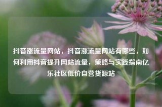 抖音涨流量网站，抖音涨流量网站有哪些，如何利用抖音提升网站流量，策略与实践指南亿乐社区低价自营货源站