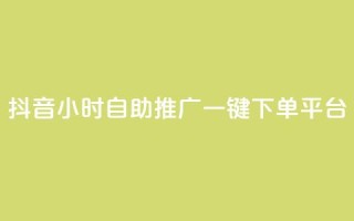 抖音24小时自助推广一键下单平台