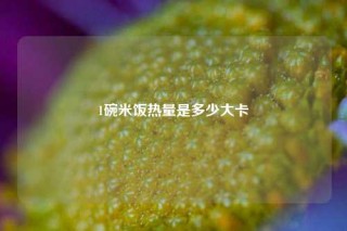 1碗米饭热量是多少大卡
