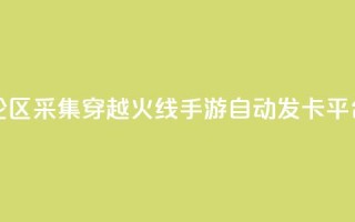 快手评论区采集 - 穿越火线手游自动发卡平台