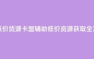 卡盟辅助低价货源 - 卡盟辅助低价资源获取全攻略。