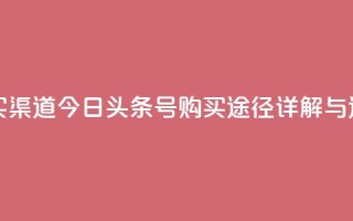 今日头条号购买渠道 - 今日头条号购买途径详解与选择指南~