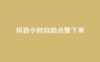 抖音24小时自助点赞下单 - 抖音全天自助点赞服务，轻松提升视频热度！。
