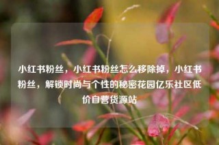 小红书粉丝，小红书粉丝怎么移除掉，小红书粉丝，解锁时尚与个性的秘密花园亿乐社区低价自营货源站