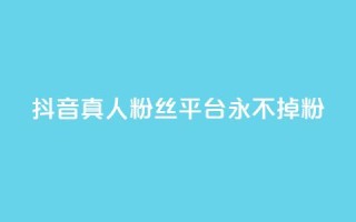 抖音真人粉丝平台 永不掉粉,ks买赞自助下单下载 - qq空间浏览量包括自己吗 - 刷qq好友网站