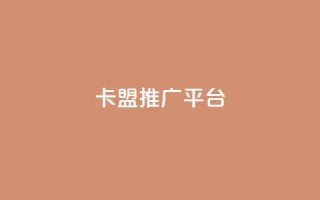 卡盟推广平台 - 卡盟推广平台：提升网站流量的首选利器~