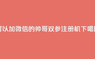可以加微信的帅哥 - ks双参注册机