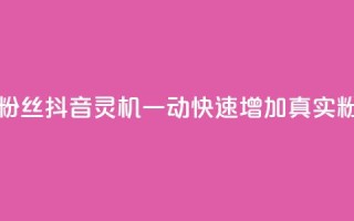 抖音怎样出钱粉丝上1000粉丝 - 抖音灵机一动！快速增加1000真实粉丝的秘诀揭秘。