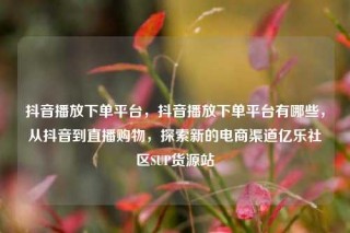 抖音播放下单平台，抖音播放下单平台有哪些，从抖音到直播购物，探索新的电商渠道亿乐社区SUP货源站