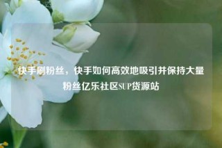快手刷粉丝，快手如何高效地吸引并保持大量粉丝亿乐社区SUP货源站