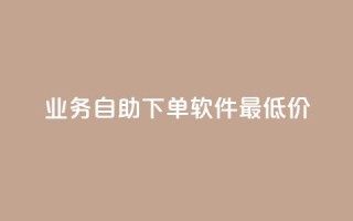 ks业务自助下单软件最低价,qq空间说说软件 - KS低价作品双击 - 万宝卡盟平台入口