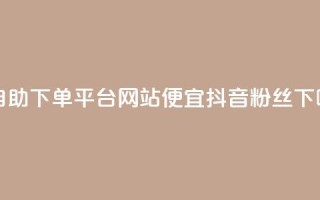 ks赞自助下单平台网站便宜 - 抖音粉丝