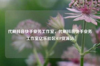 代刷抖音快手业务工作室，代刷抖音快手业务工作室亿乐社区SUP货源站