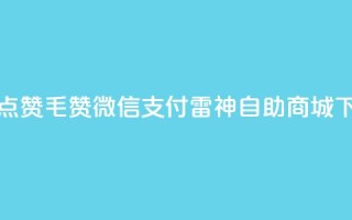 qq动态点赞1毛10000赞微信支付 - 雷神自助商城