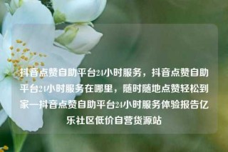 抖音点赞自助平台24小时服务，抖音点赞自助平台24小时服务在哪里，随时随地点赞轻松到家—抖音点赞自助平台24小时服务体验报告亿乐社区低价自营货源站